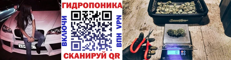 Каннабис гибрид  Купить где  Каргат 